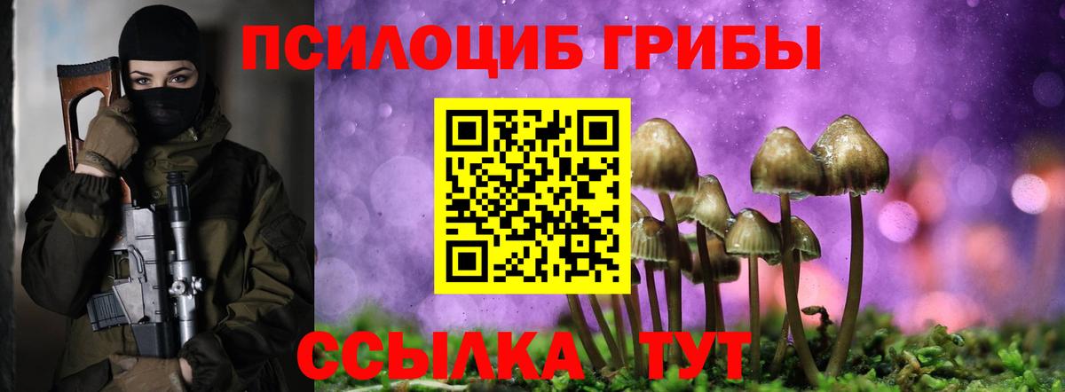 Псилоцибиновые грибы Cubensis Заволжье